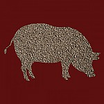 EC-S – For pigs