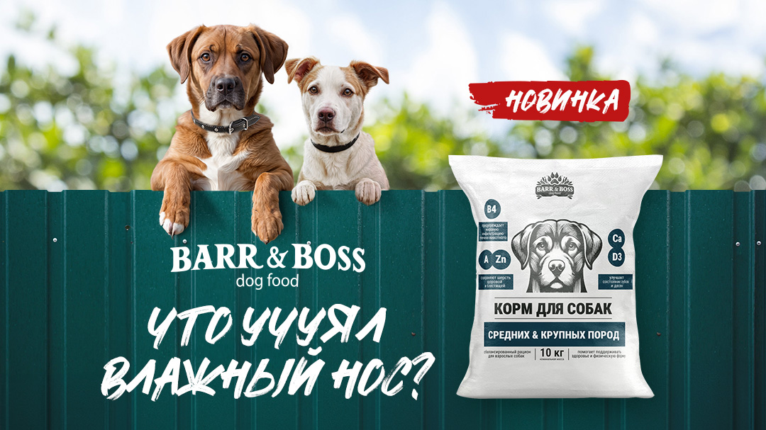 ВНИМАНИЕ!!! Новинка для собак средних и крупных пород - корм BARR&BOSS ВНИМАНИЕ!!! Новинка для собак средних и крупных пород - корм BARR&BOSS