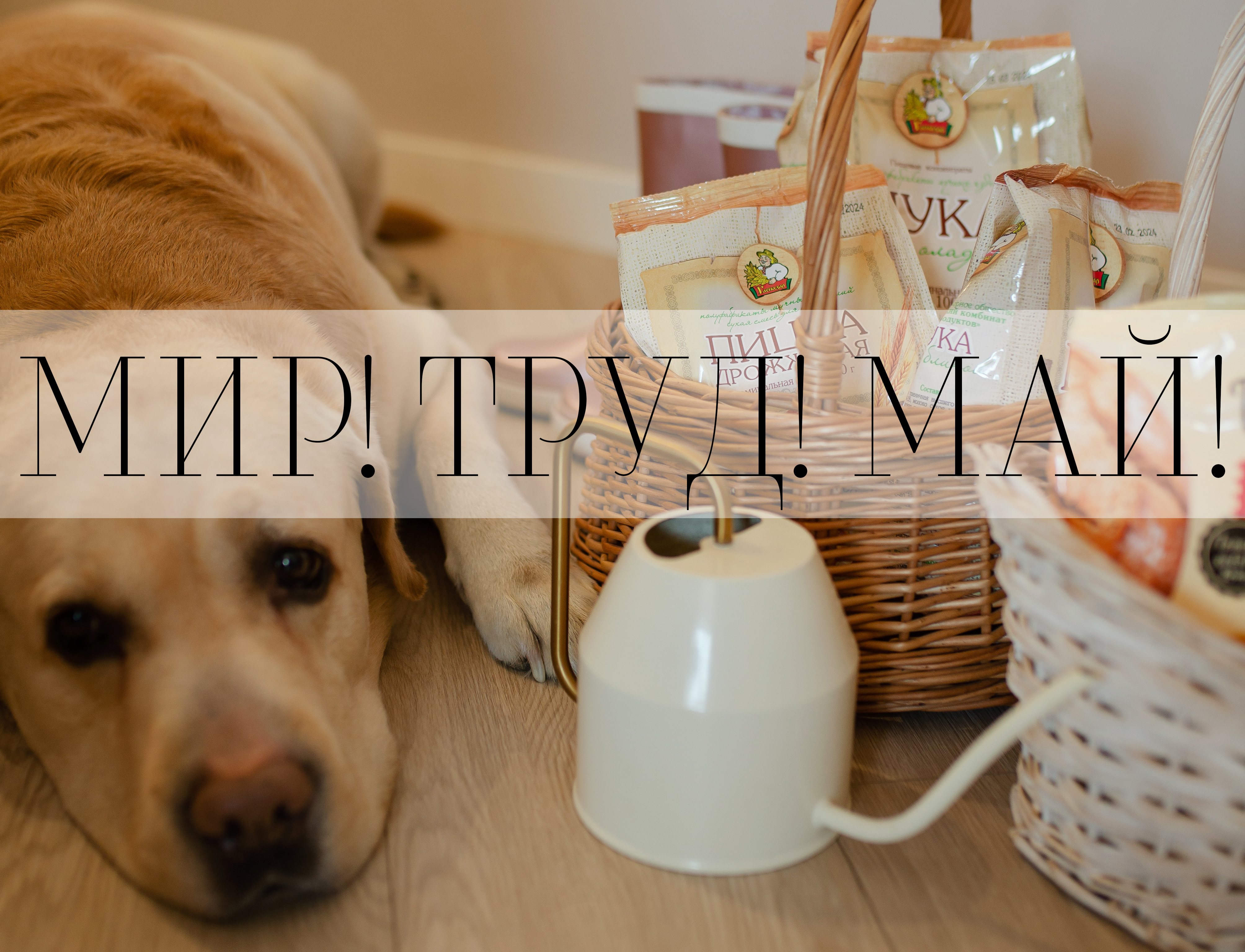 ОАО "Барановичхлебопродукт" поздравляет с Днём весны и труда!