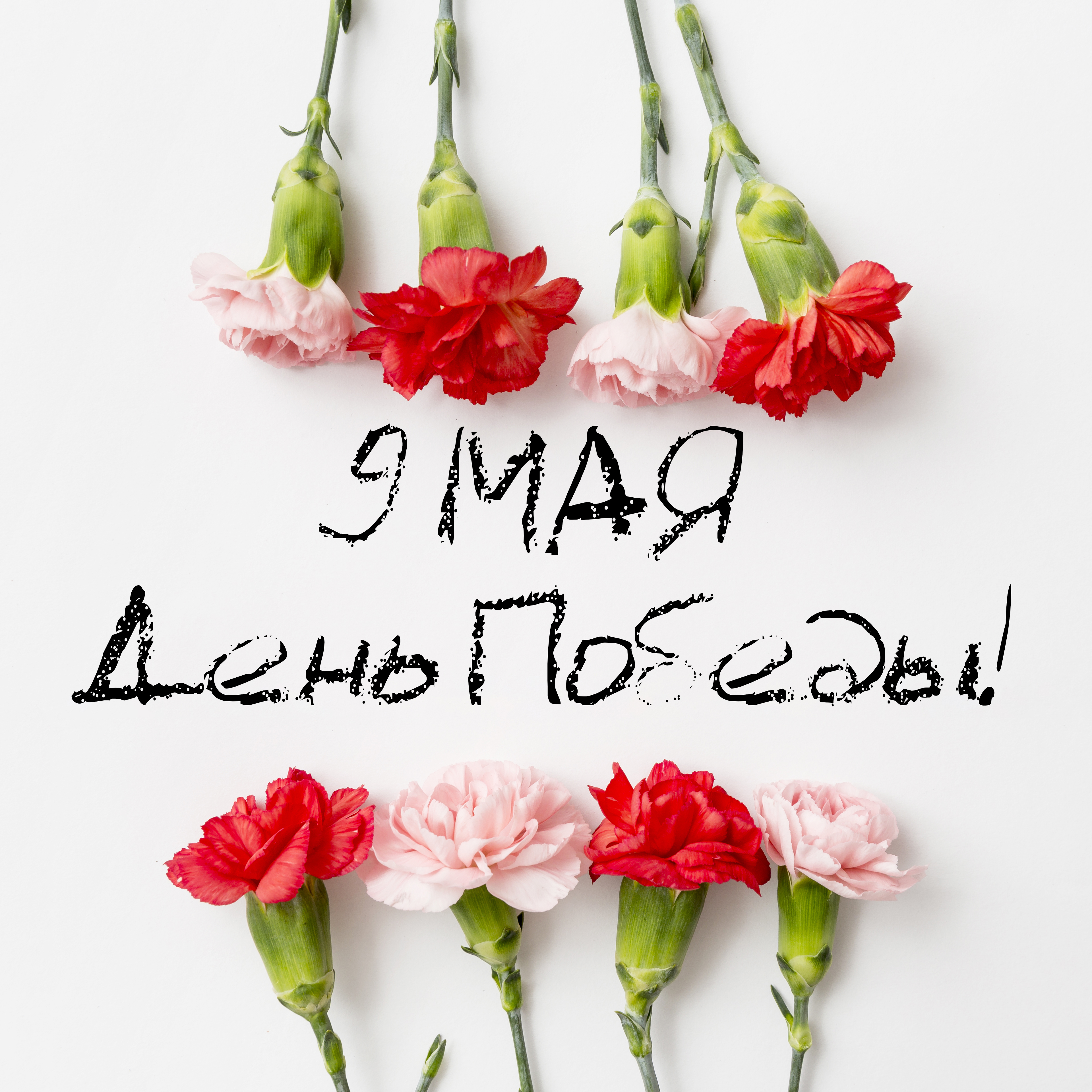 С Великим праздником, Беларусь - с Днём Победы!